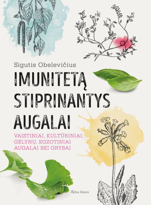 Sigutis Obelevičius 