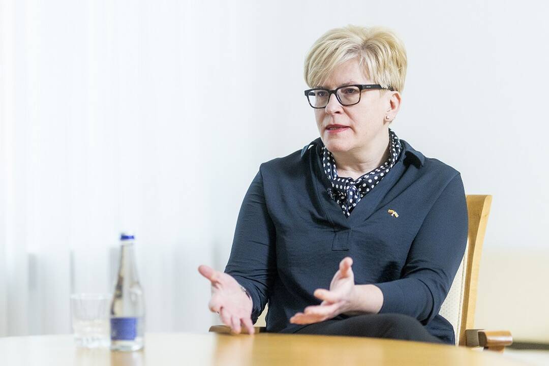 I. Šimonytė: siūloma apmokestinti bankų pajamas, gautas dėl nenormalios situacijos