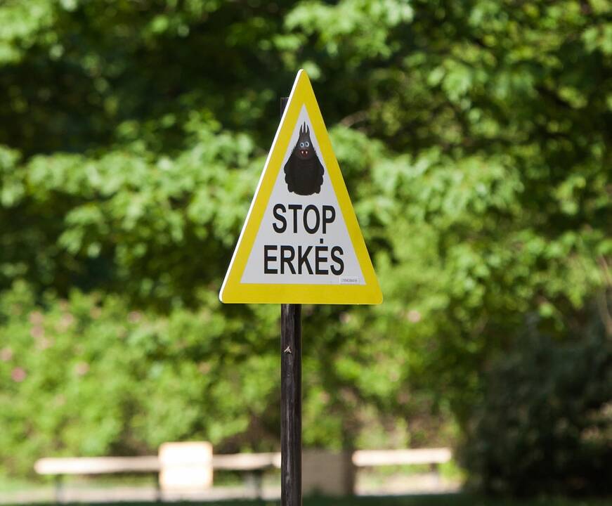 Įspėjimas: šiemet Lietuvoje erkiniu encefalitu užsikrėtė jau septyni asmenys