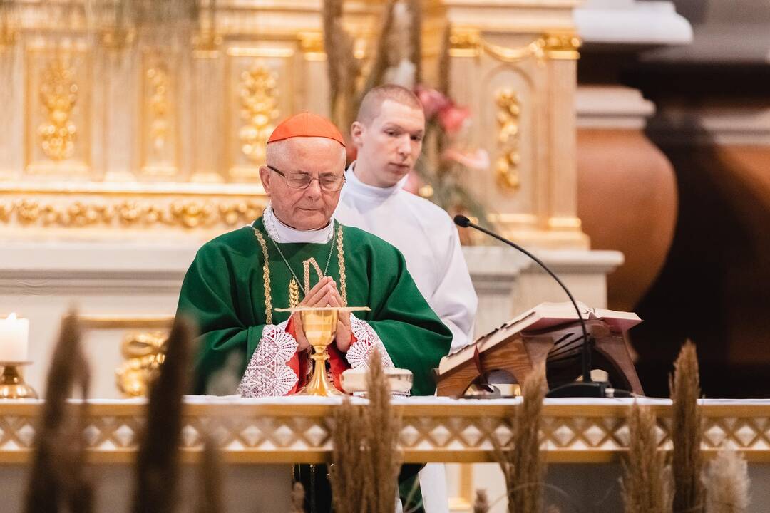 Šeimų sambūrio „Gerumo ąžuolas“ susitikimas
