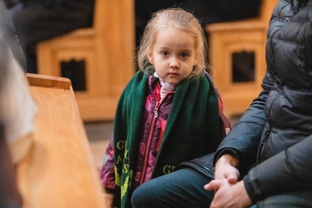 Šeimų sambūrio „Gerumo ąžuolas“ susitikimas