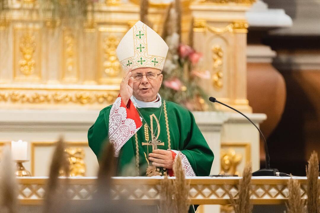 Šeimų sambūrio „Gerumo ąžuolas“ susitikimas
