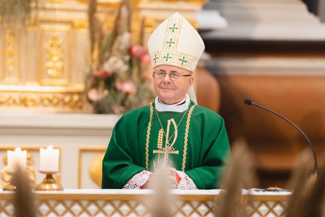 Šeimų sambūrio „Gerumo ąžuolas“ susitikimas