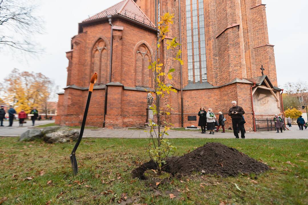 Šeimų sambūrio „Gerumo ąžuolas“ susitikimas