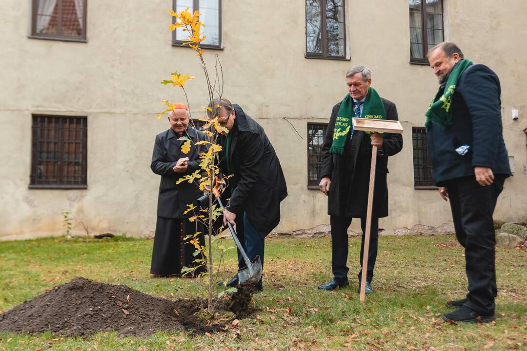 Šeimų sambūrio „Gerumo ąžuolas“ susitikimas