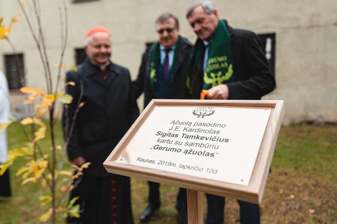 Šeimų sambūrio „Gerumo ąžuolas“ susitikimas