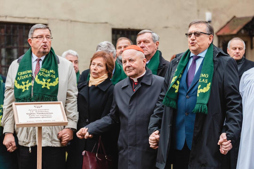 Šeimų sambūrio „Gerumo ąžuolas“ susitikimas