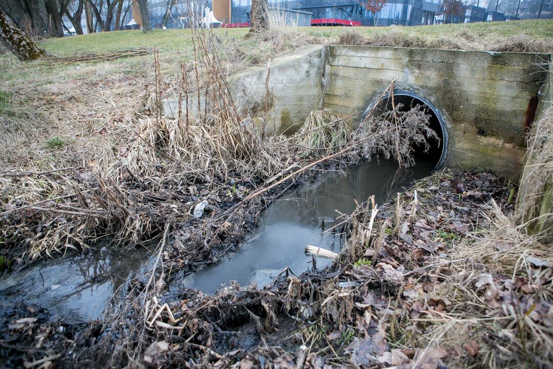 Kaune į Nerį išsiliejo teršalai