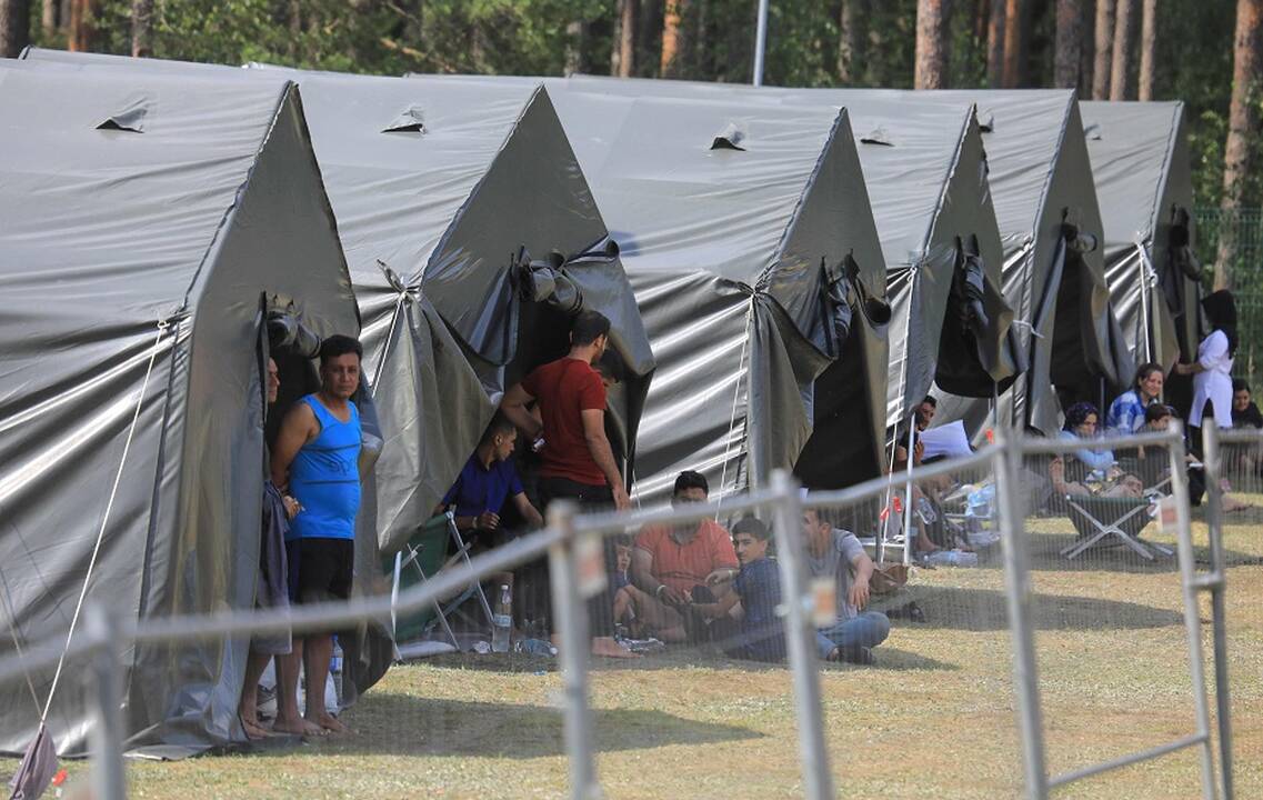 Politologė apie migrantų krizę ir užsienio politiką: panika niekam nereikalinga