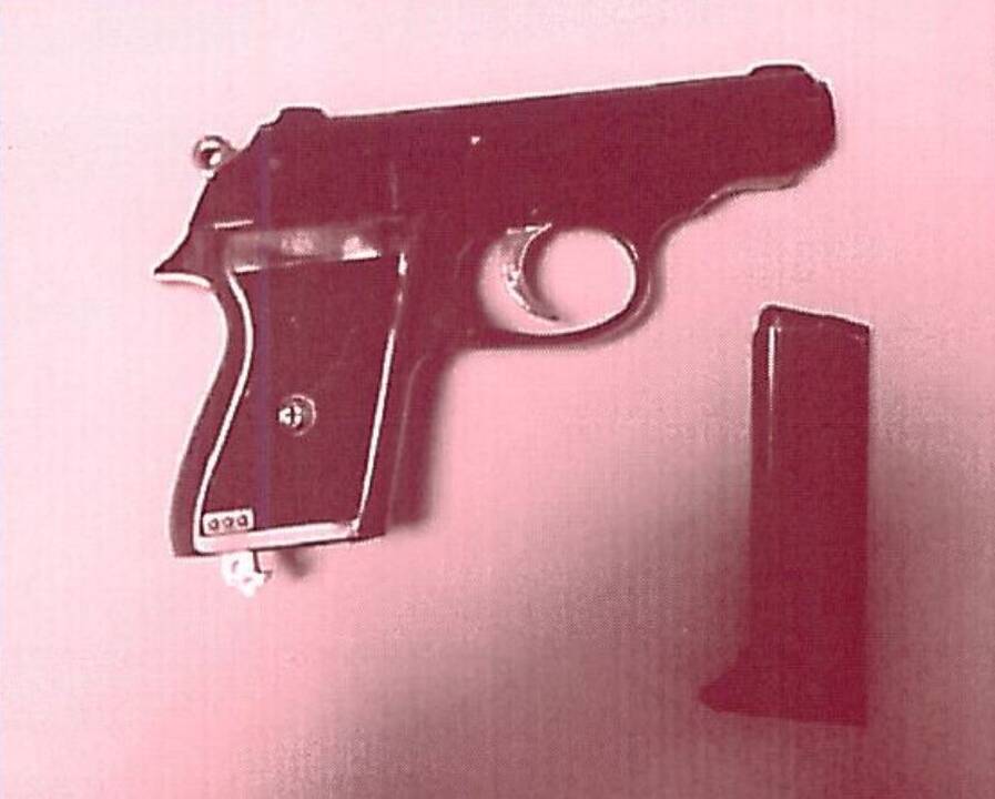 Policininkai, atvažiavę raminti brolių muštynių, rado ir narkotikų, ir ginklą 