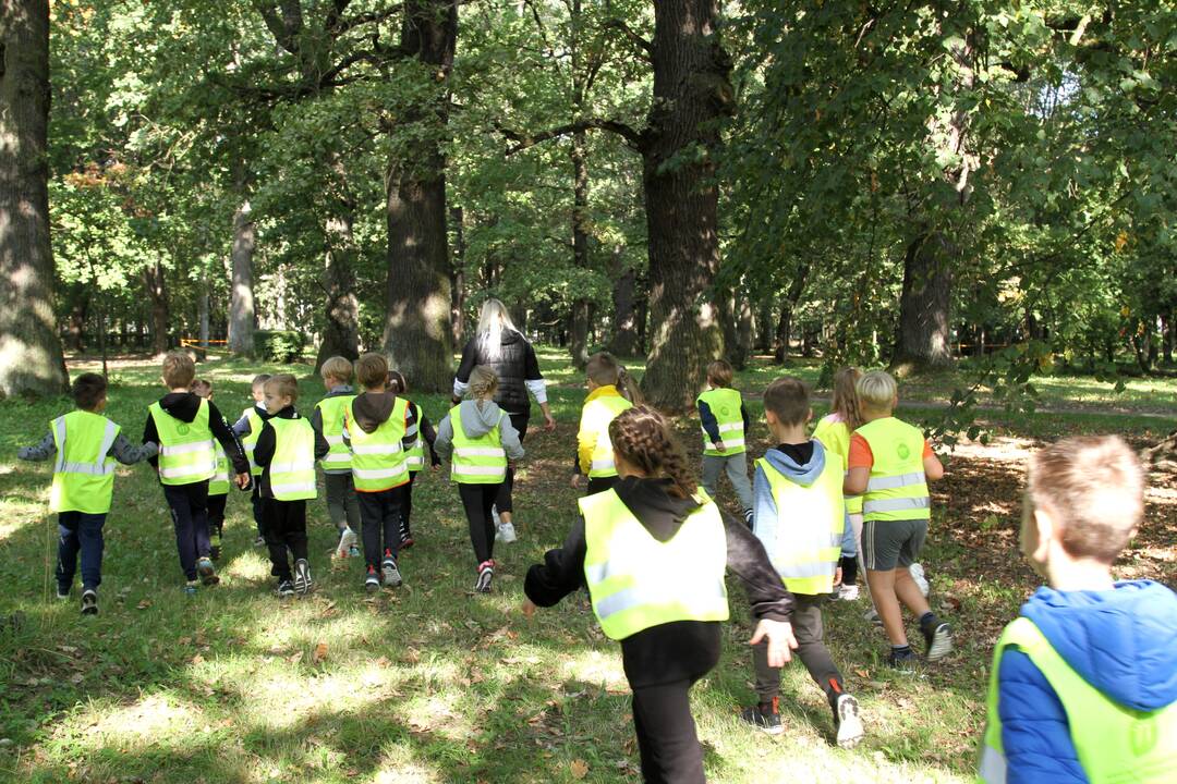 Masinis šokis subūrė 600 dalyvių iš Kėdainių ir Kauno švietimo įstaigų.