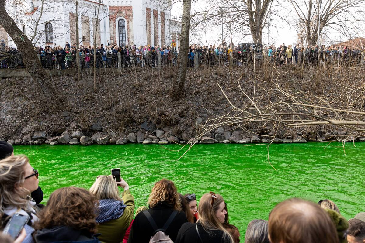 Švento Patriko diena Užupyje