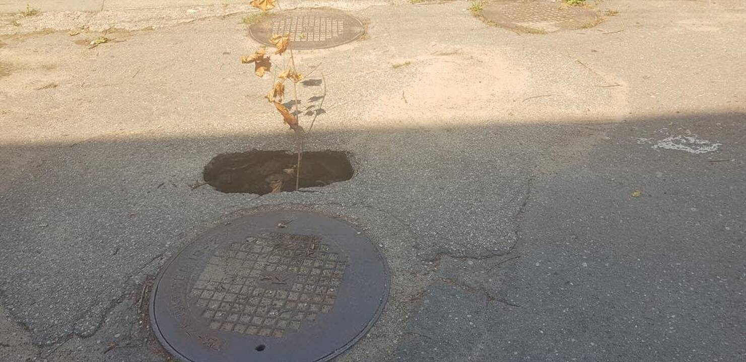 Problema: Dzūkų gatvėje prie šulinių dažnai atsiranda duobės.