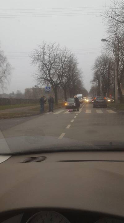 J. Basanavičiaus al. partrenkta aštuonerių metų mergaitė