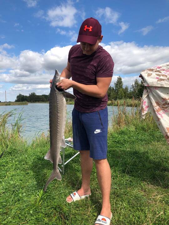 Tomas