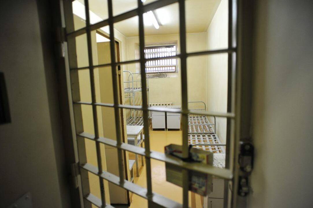 Drama Plungės rajone: po išgertuvių – į atlapus kaimynei