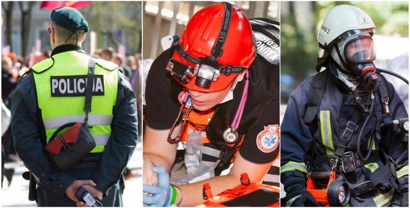 Detektyvas: ginklo paieškos, policijos nuostoliai ir mįslingas stirnos likimas
