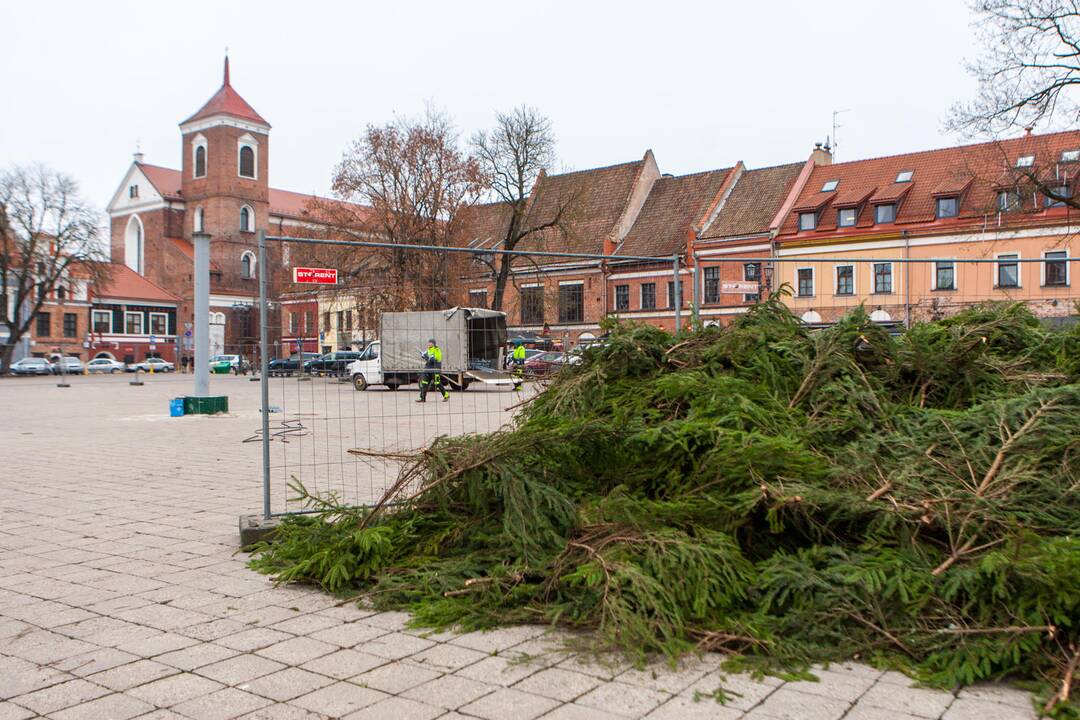 Kauno Kalėdų eglė atkeliavo į Rotušės aikštę