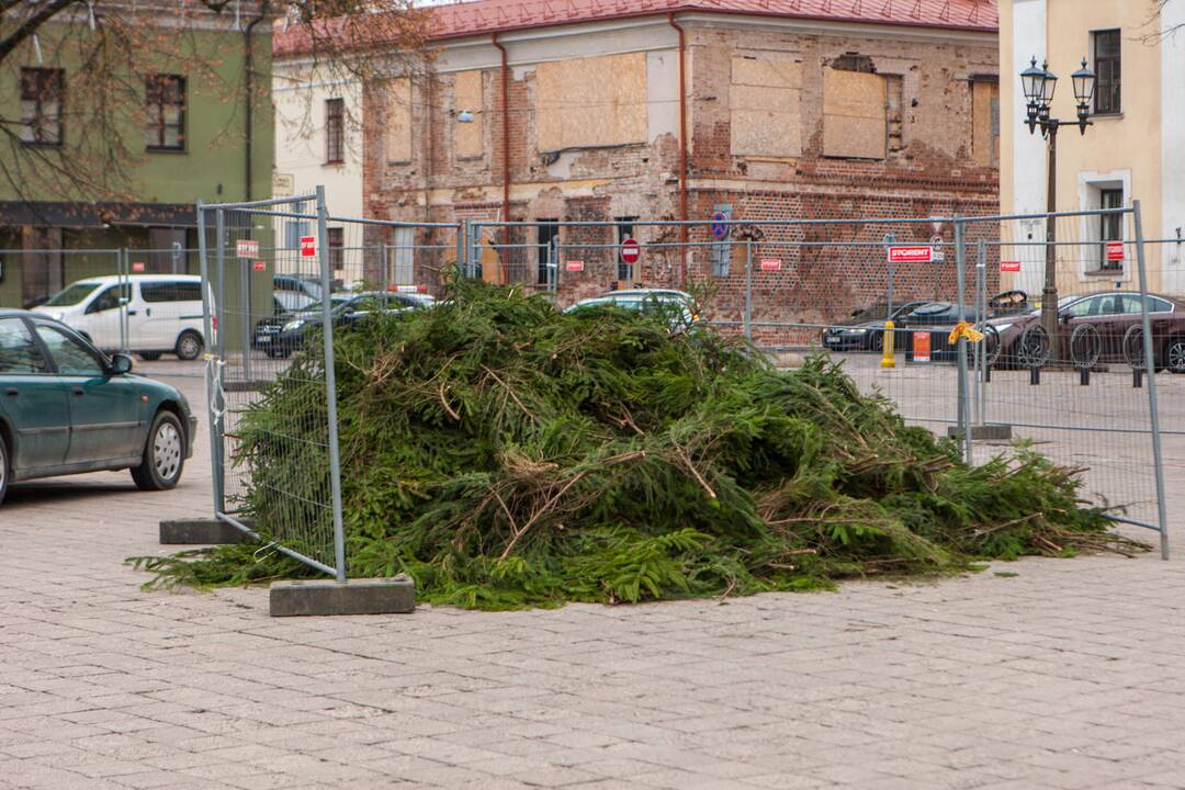 Kauno Kalėdų eglė atkeliavo į Rotušės aikštę