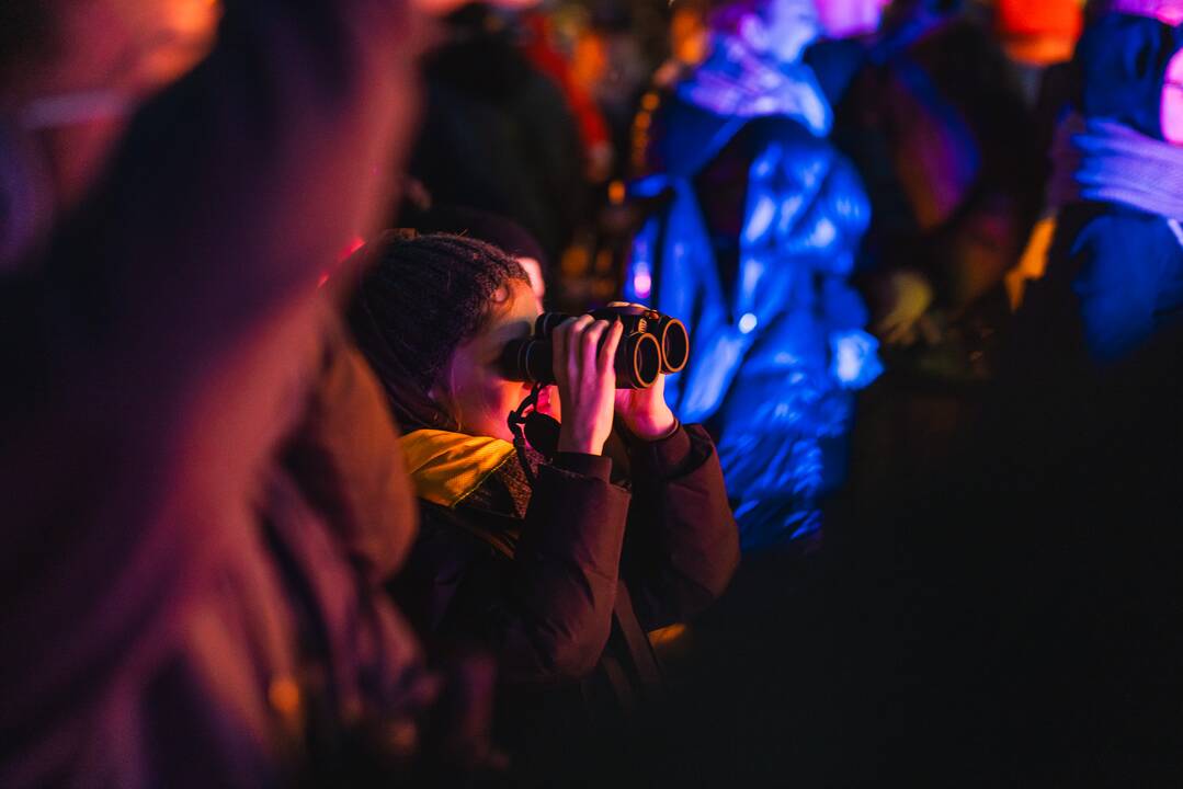 Solidarumo su Ukraina eisena Vilniuje
