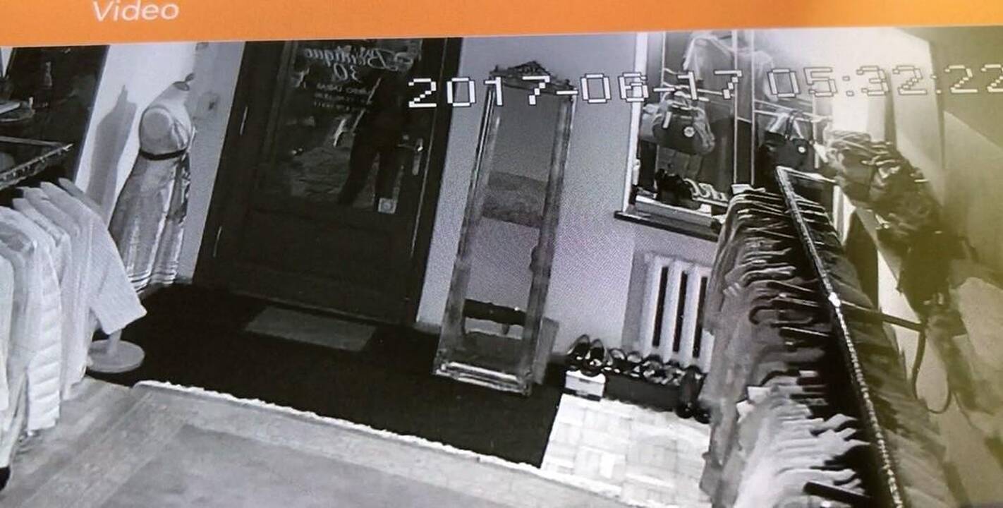 Kaunietė nepraranda vilties: gal atpažįstate šiuos turto niokotojus?