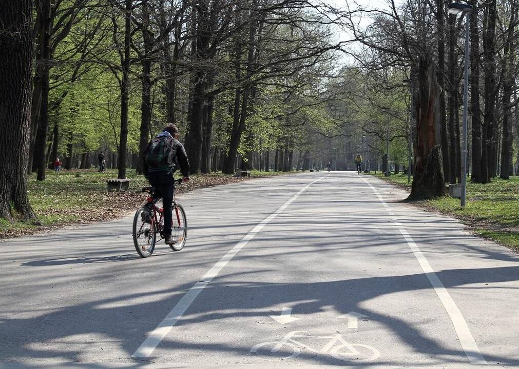 Vitaminas D: vaistas nuo daugelio ligų