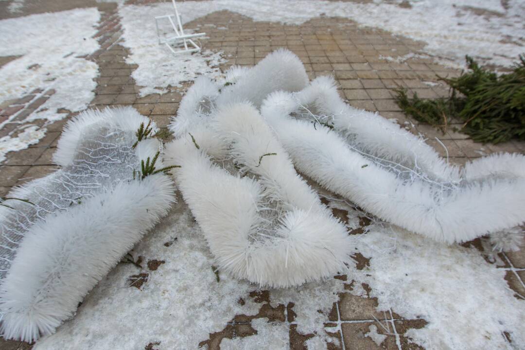 Kaunas atsisveikina su Kalėdų egle