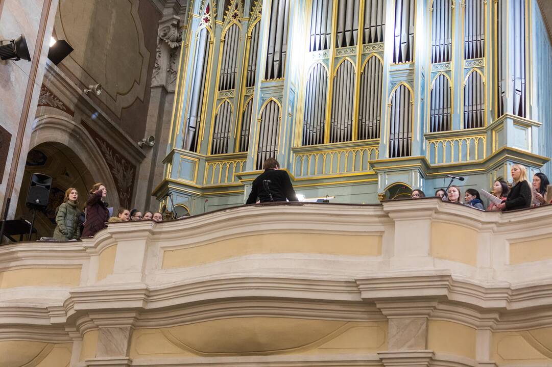 Kūčios Bernelių Šv. Mišios Arkikatedroje
