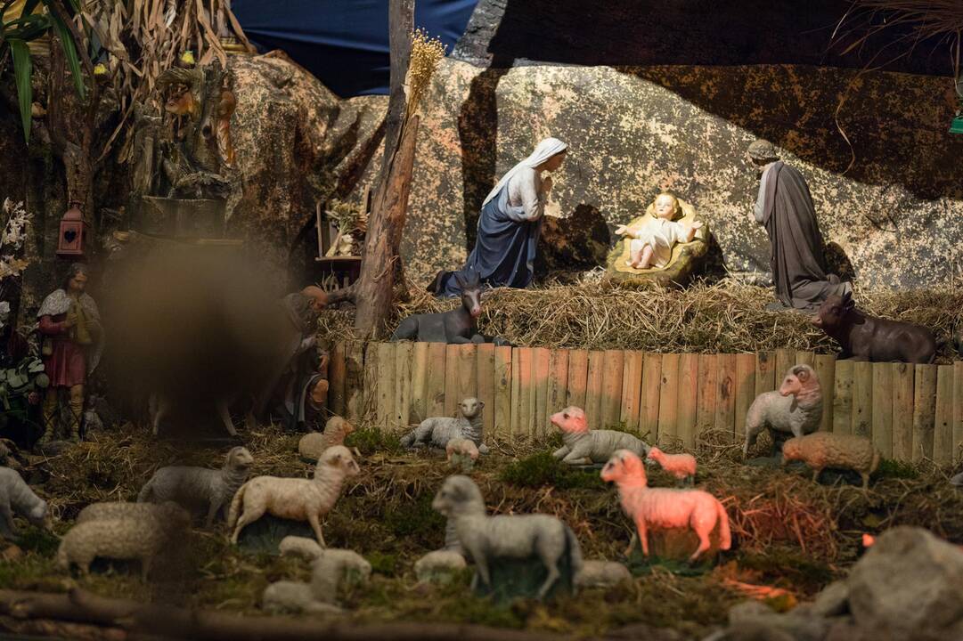Kūčios Bernelių Šv. Mišios Arkikatedroje