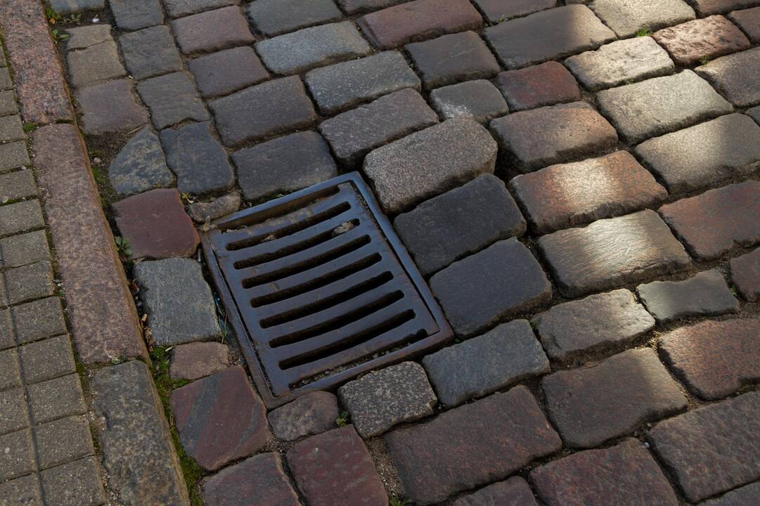 Iškleręs M. Daukšos gatvės grindinys