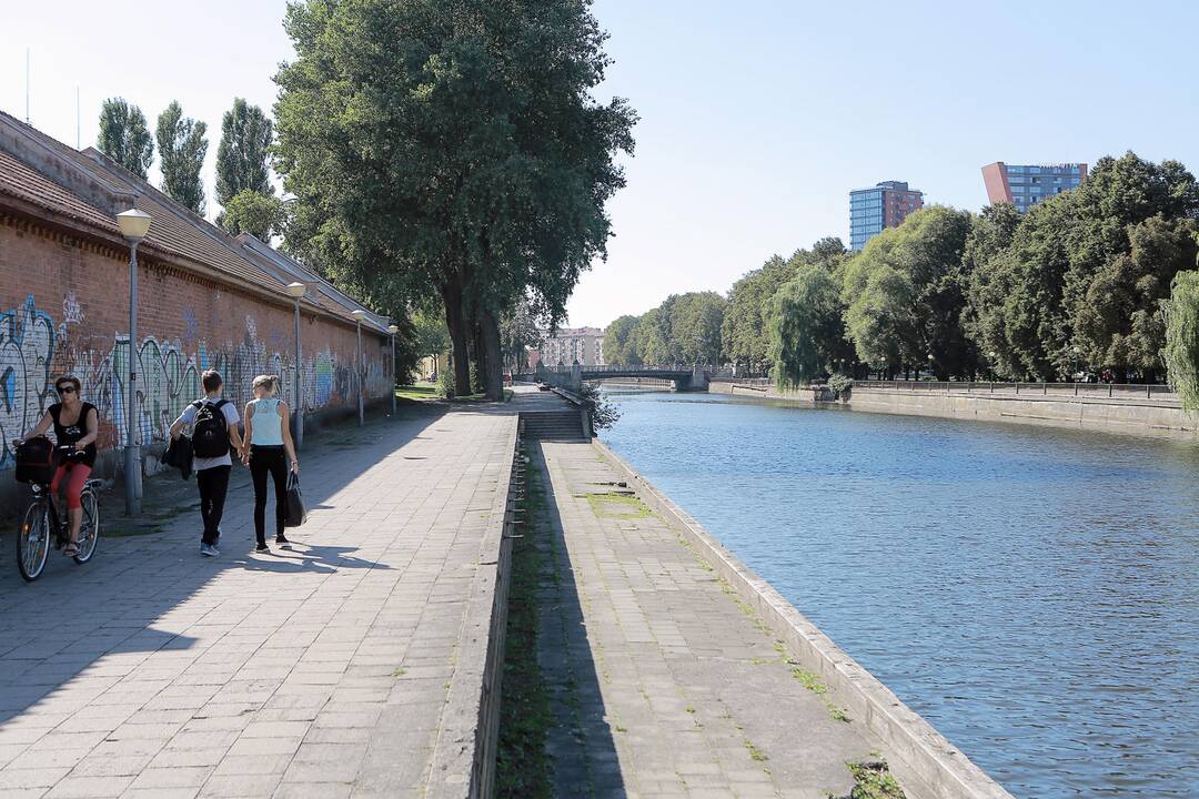 Danės pakrančių imsis kitąmet