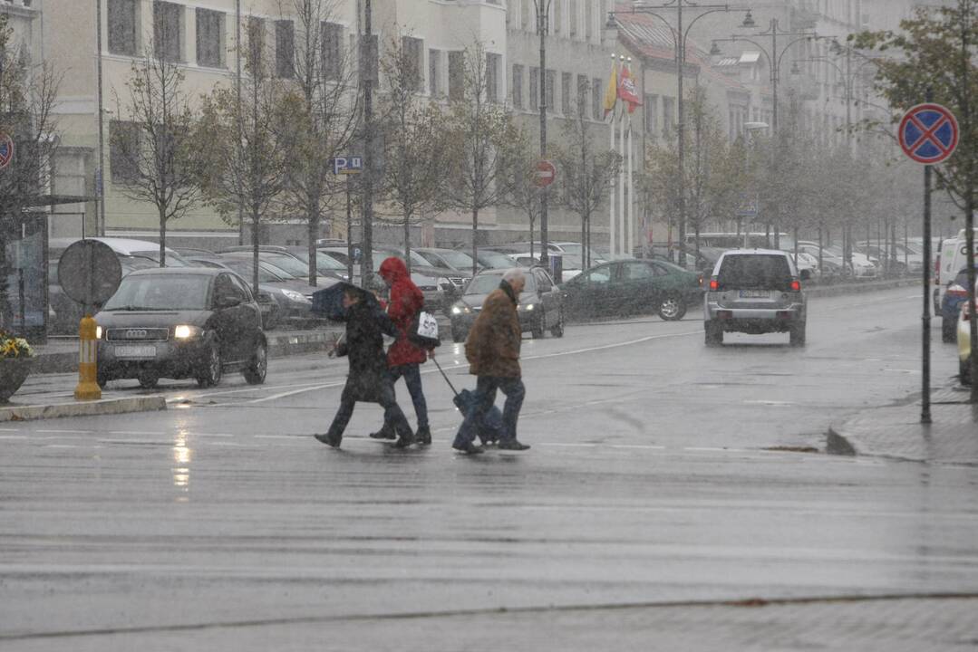 Pirmasis sniegas Klaipėdoje