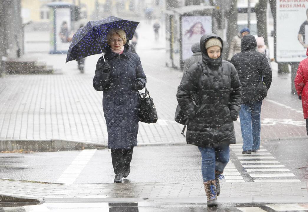 Pirmasis sniegas Klaipėdoje