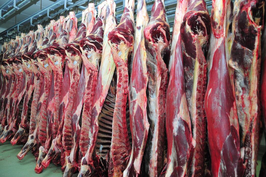Teismas išnagrinėjo „Klaipėdos mėsinės“ bylą