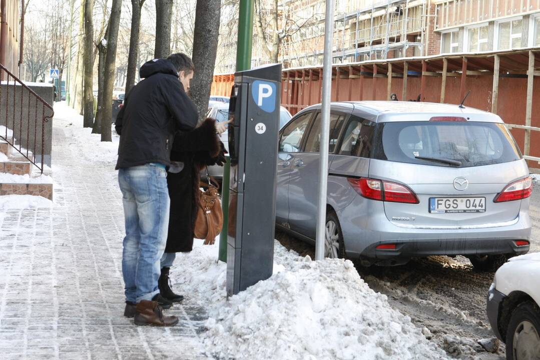 Statymo leidimus patogiausia tvarkyti internetu