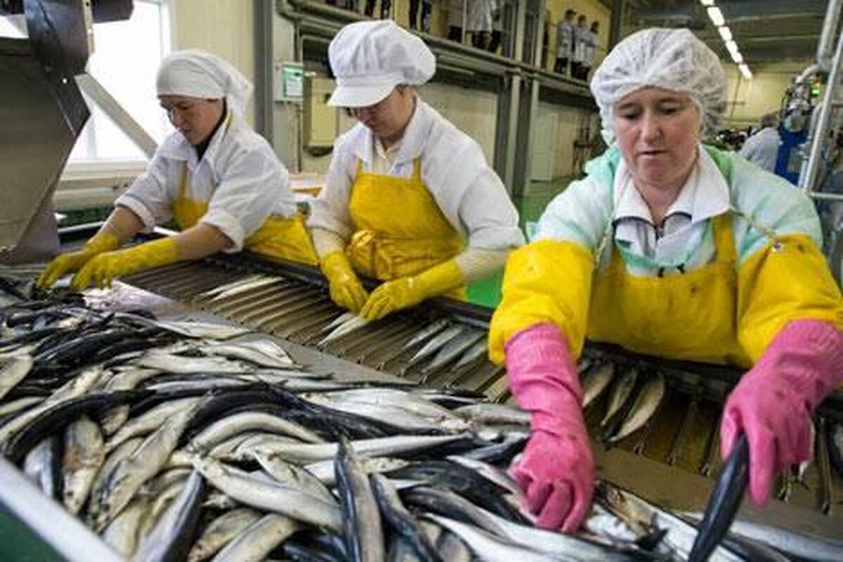 Bendrovės atmintinė darbuotojams