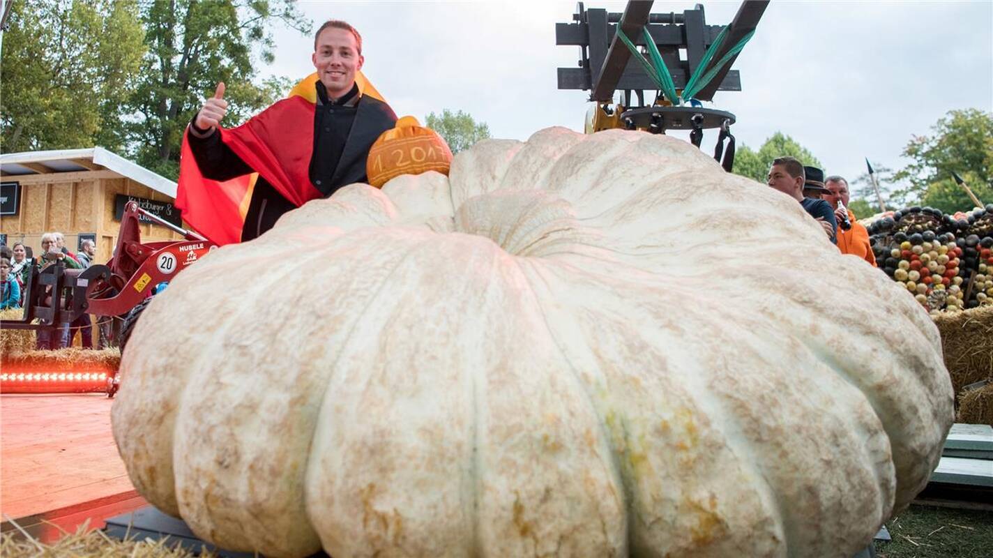 Čempionas: 25-erių belgas M.Willemijnsas apgynė nugalėtojo vardą.