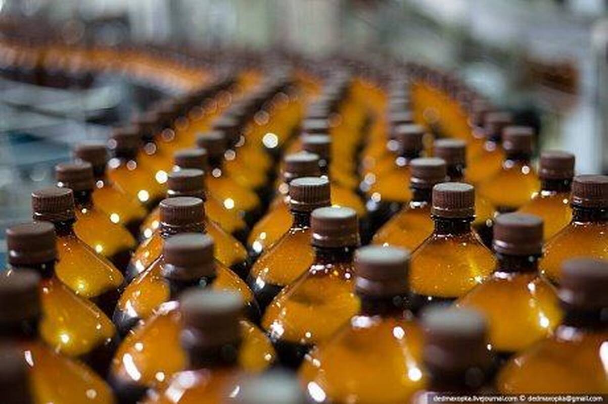 Nuvylė: dabartinė valdžia sugeba tik drausti.