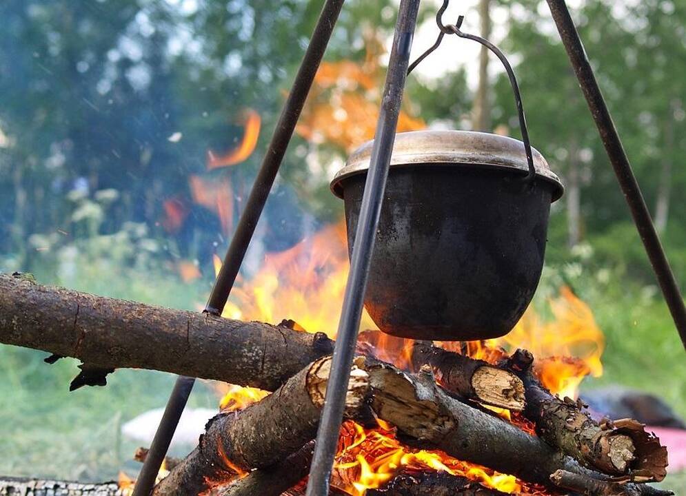 Išvada: jei pavasario ir vasaros laužuose deginsime viską, kas pakliūva, maloniai nuteikianti ugnis gali tapti tikru nuodų šaltiniu.