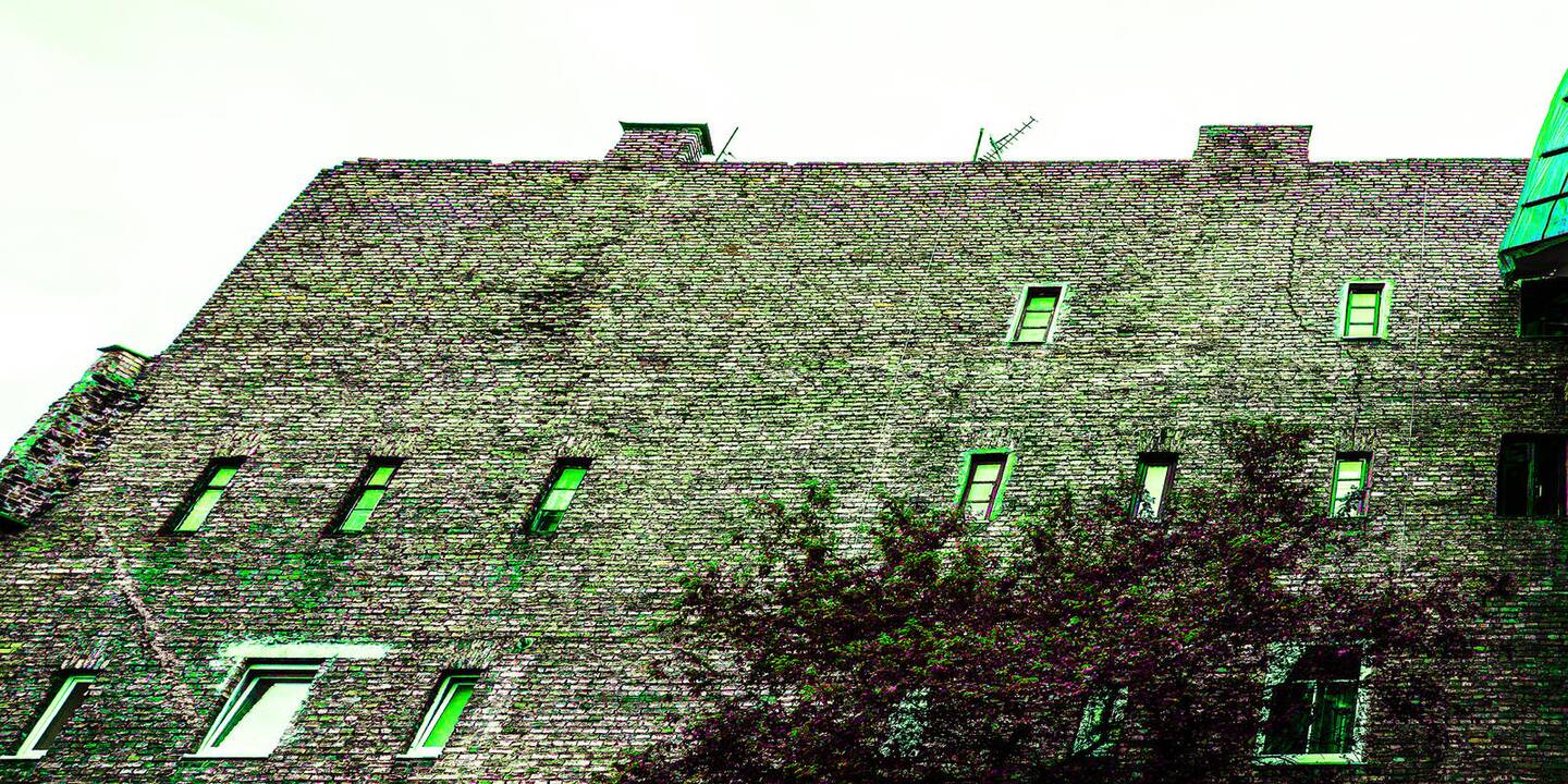 K.Lupeikis. Siena. 2015.