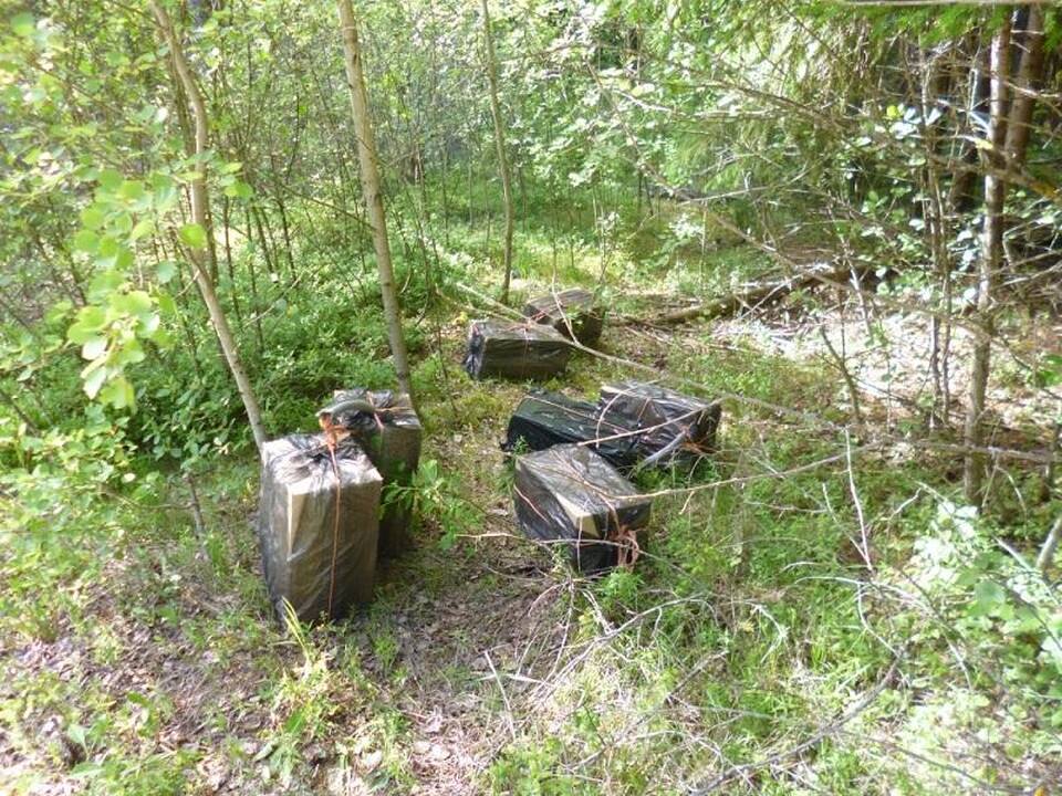 Pasieniečiai miške aptiko pusketvirto tūkstančio pakelių cigarečių