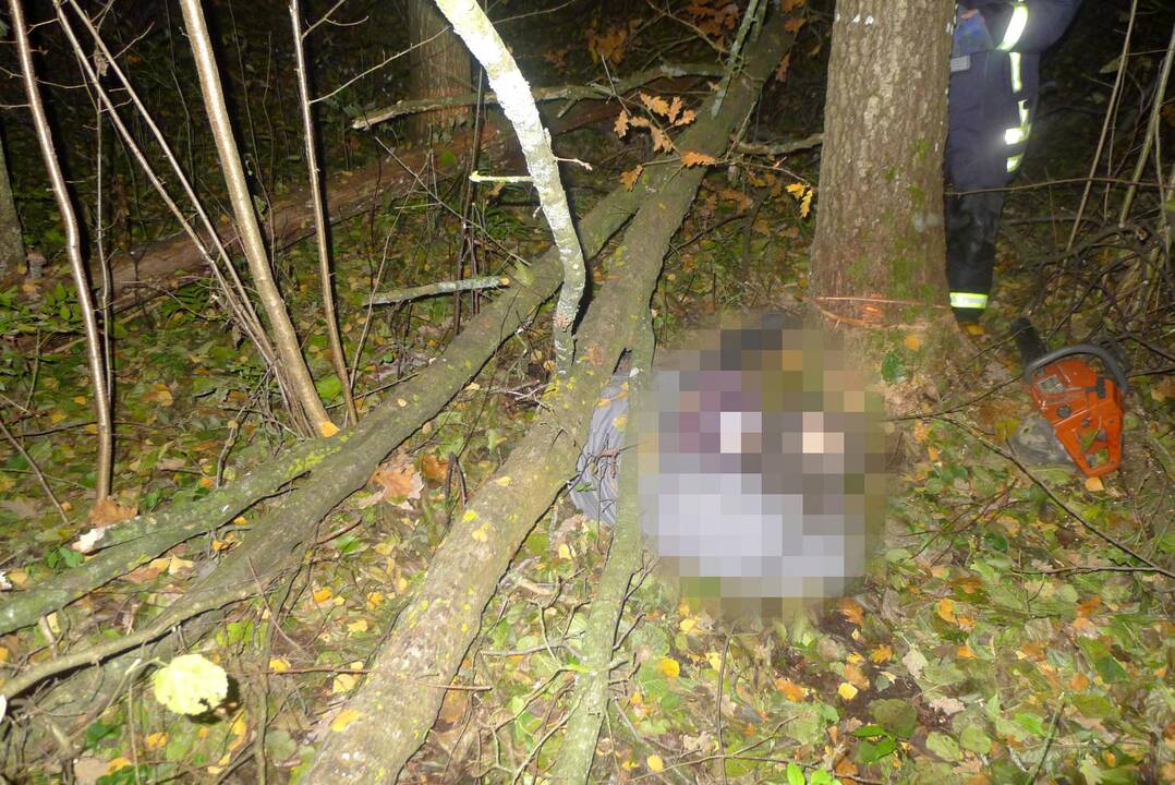 Malkauti išėjusio vyro miške nelaimė