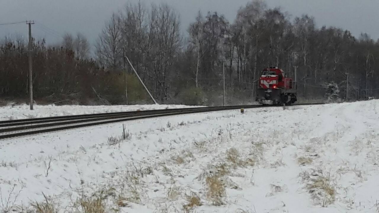 Tragedija Kaišiadorių rajone