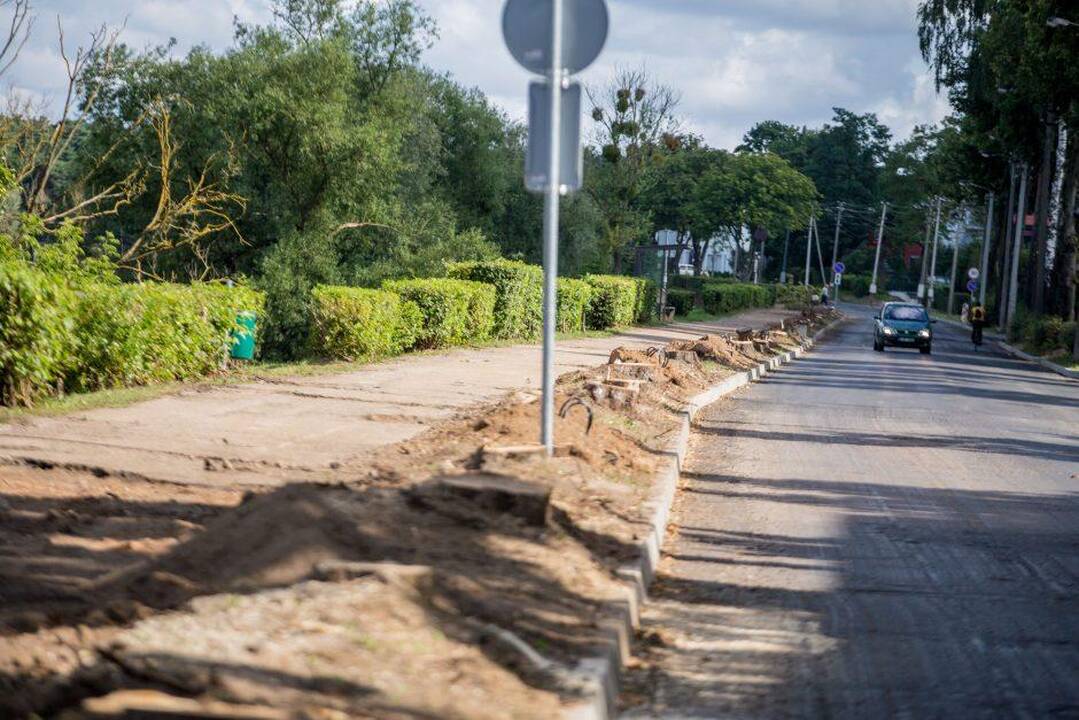 Nupjauti medžiai A. Smetonos alėjoje