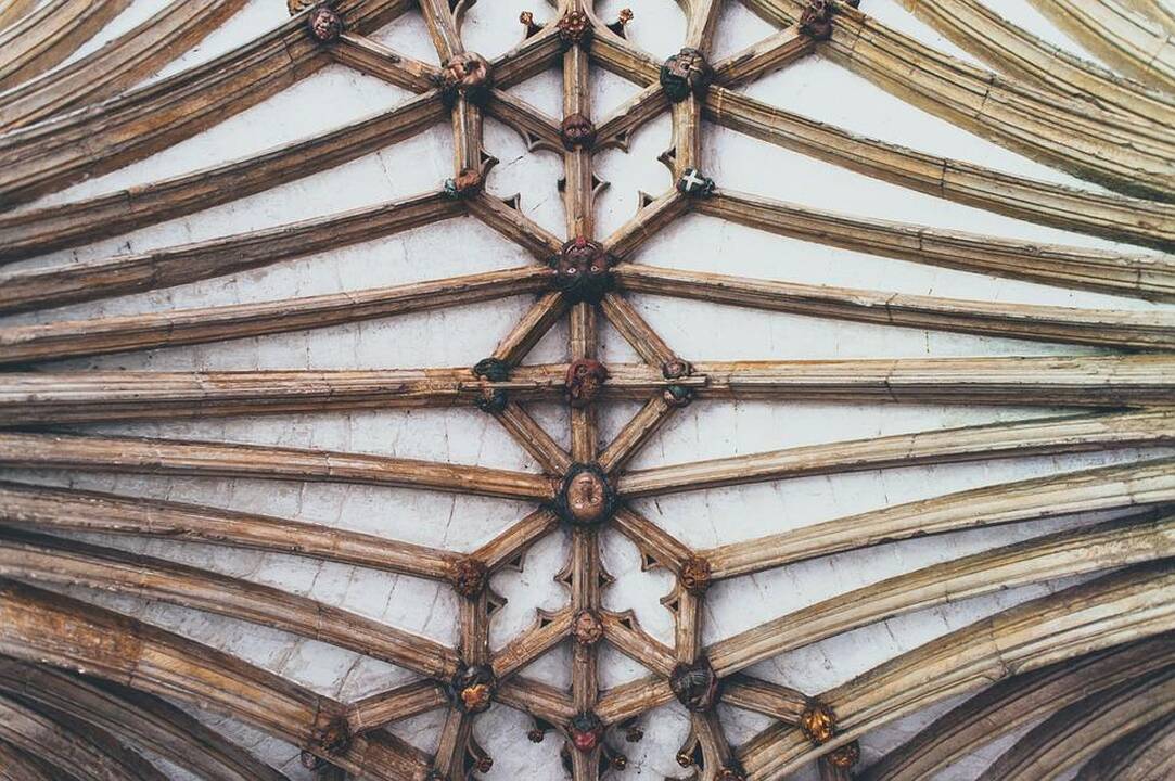 Medis lietuvių architektūros peizaže