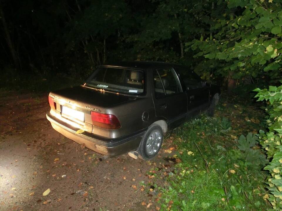 Kaune porelė pavogė daugiau nei 10 automobilių