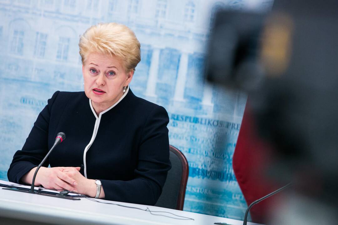 D. Grybauskaitė: dėl Rusijos veiksmų būtina ruoštis kreipimuisi į PPO