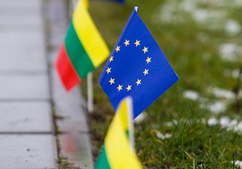 ES milijardų gelbėjimas: Lietuva bus padalyta į du regionus