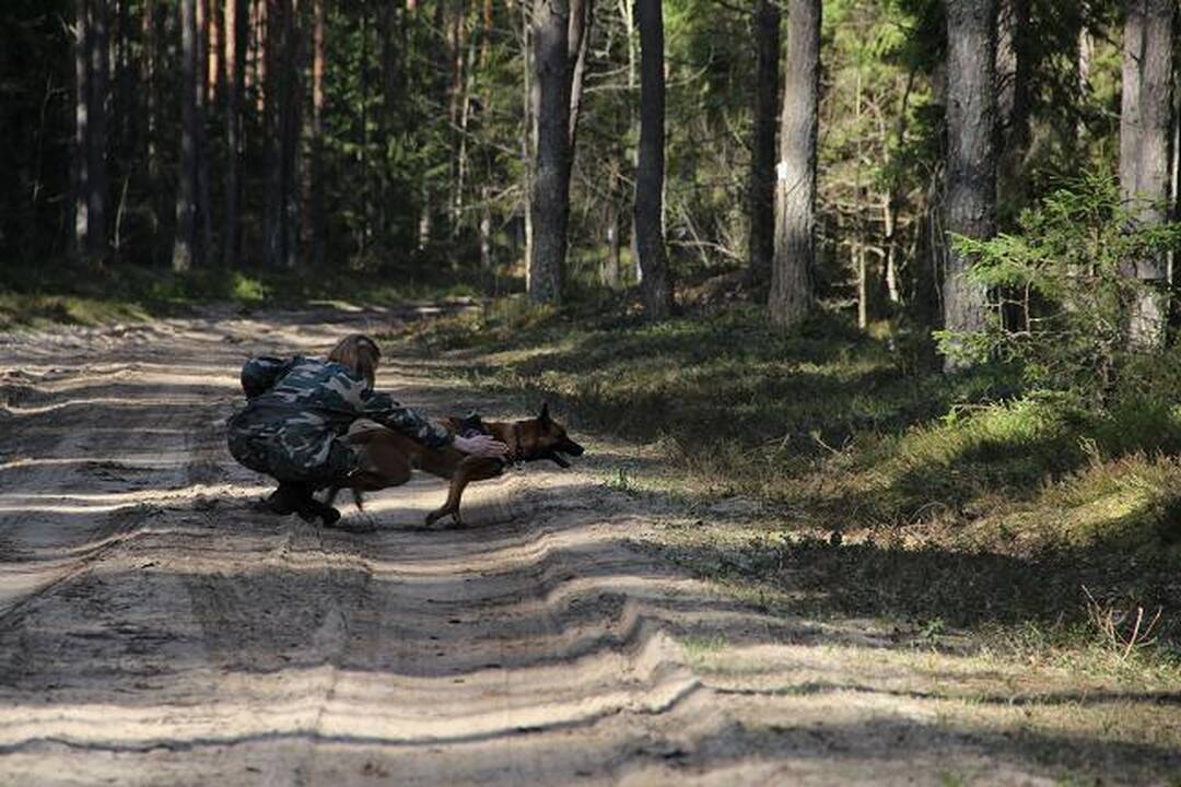 Pasieniečiai sulaikė aštuonis pažeidėjus iš Gruzijos ir Vietnamo