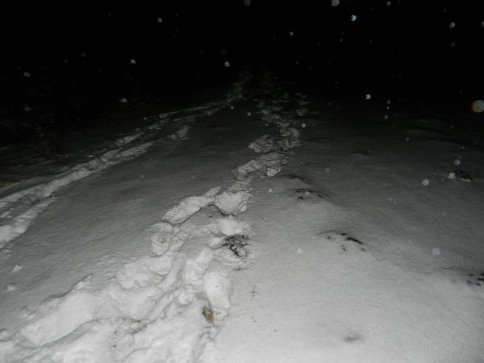 Gruzinus pasieniečiai vijosi 4 kilometrus 